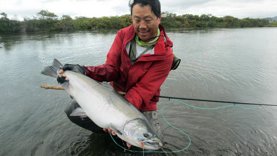 Sapsuk River Silvers Flyfish the Sapsuk River for Silver salmon in Alaska with Aleutian Adventures and take advantage of this September Last-Minute 2026 Special.