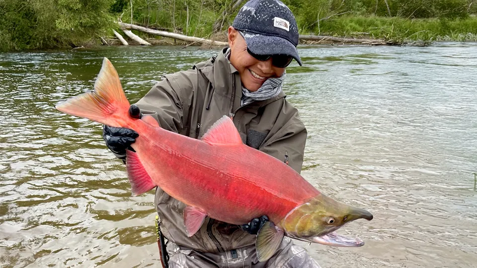 The Mulchatna River in Bristol Bay is a breeding ground for all five species of Pacific salmon.