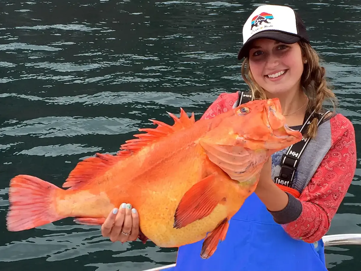 Kenai Peninsula Salmon and Saltwater Fishing