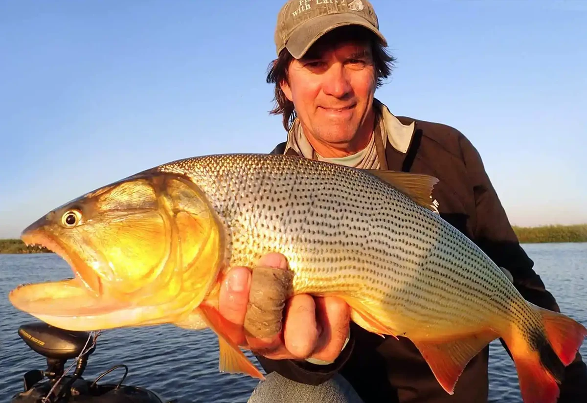Host Brad Staples with Golden Dorado Golden Dorado River Cruiser - Argentina