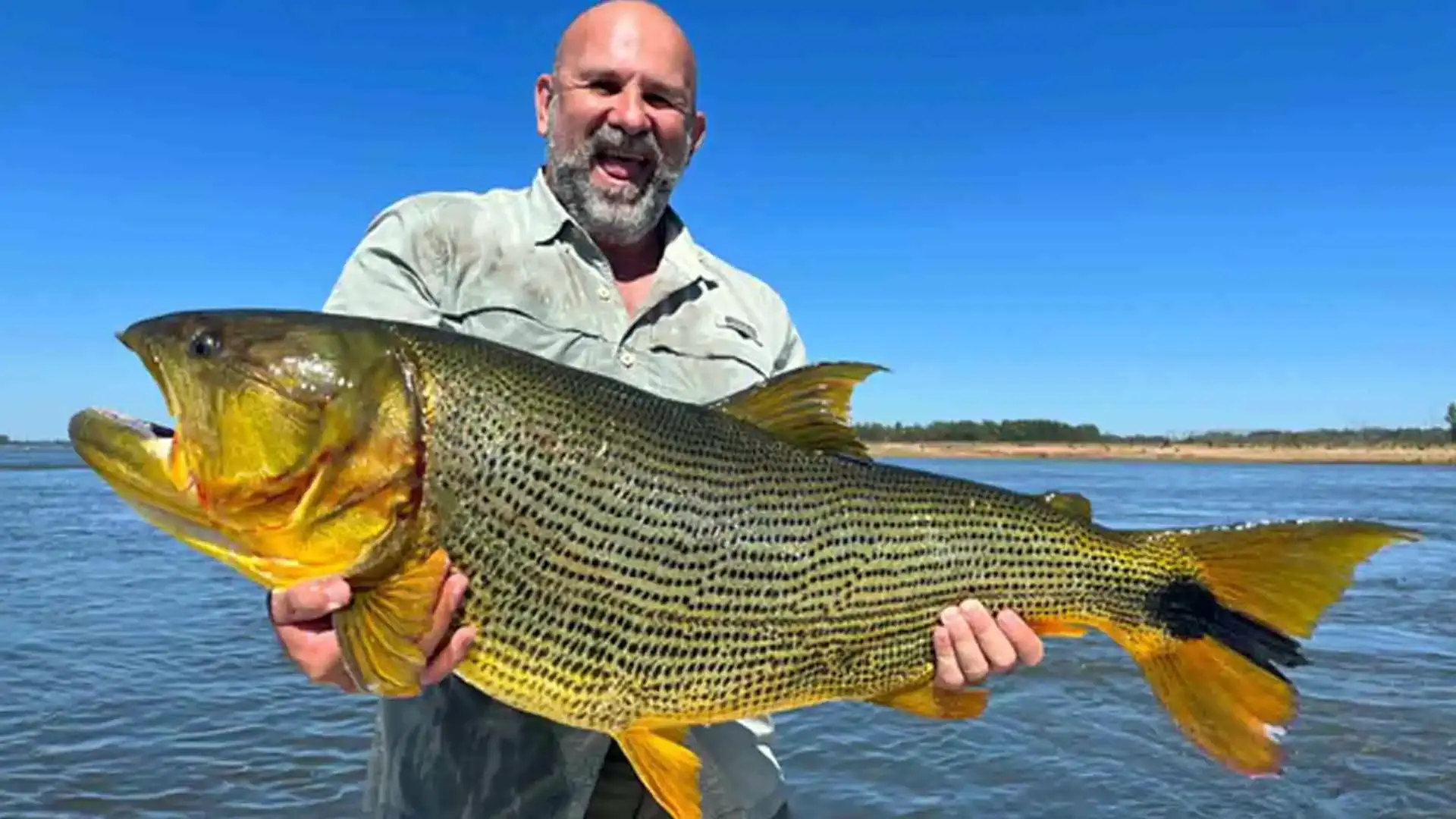 Farris with a huge La Zona golden dorado - Argentina.