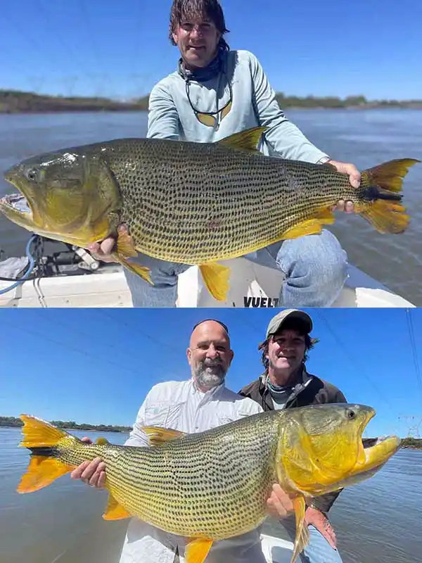La Zona Lodge 2023 Report Farris and Brad Staples with Golden Dorado