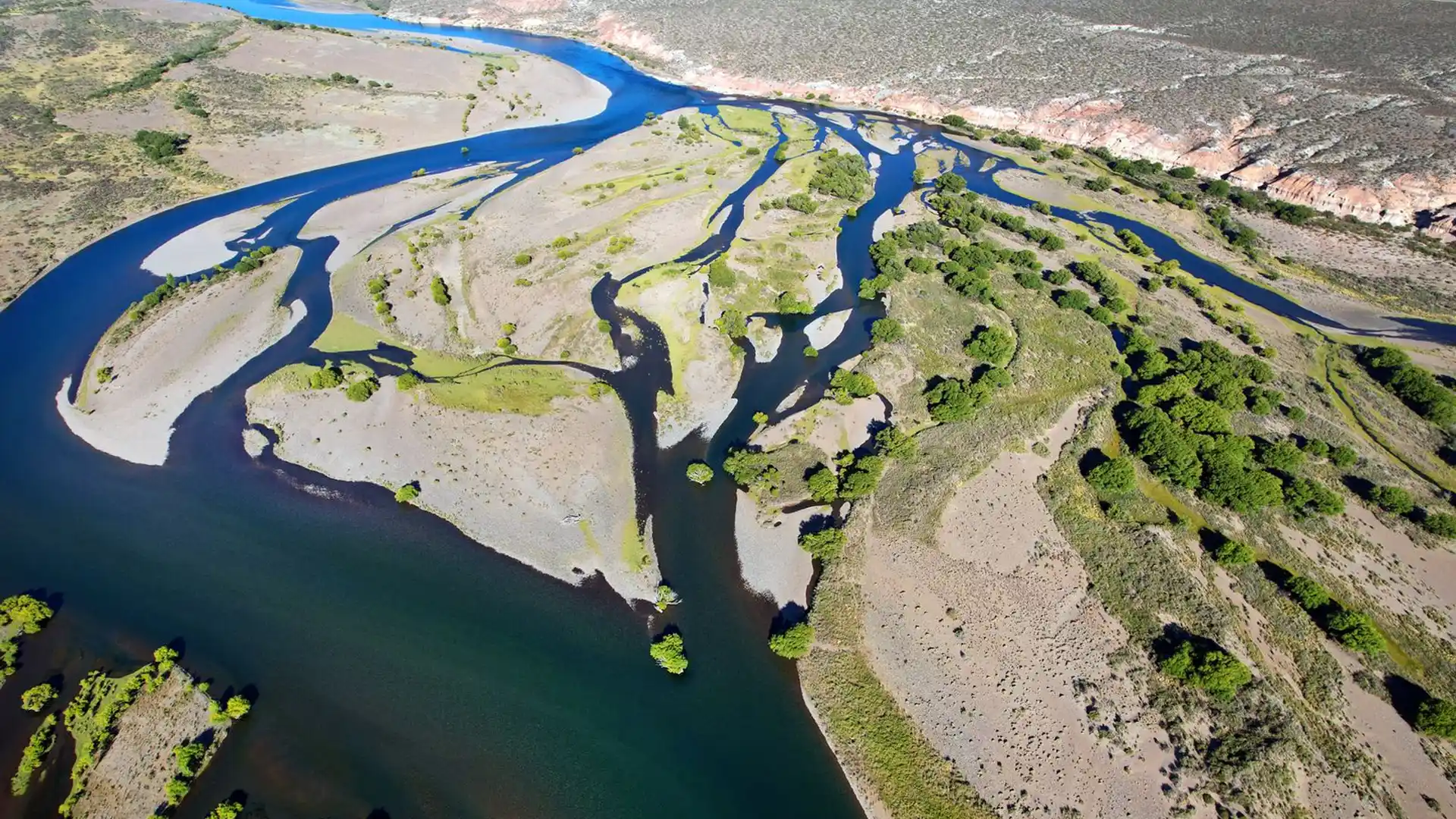 Fly fishing for Patagonia browns on the Lower Limay River in Argentina.