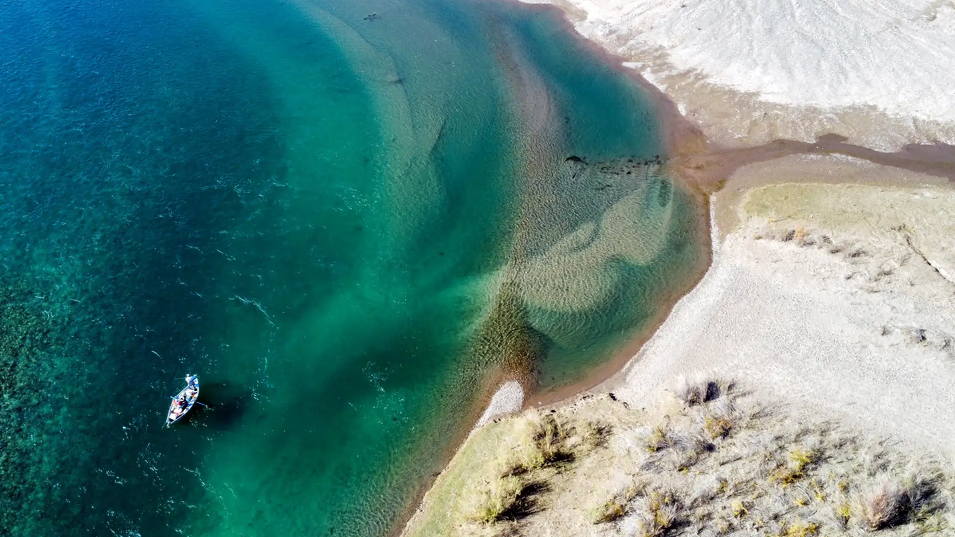 Fly fishing for Patagonia browns on the Lower Limay River in Argentina.