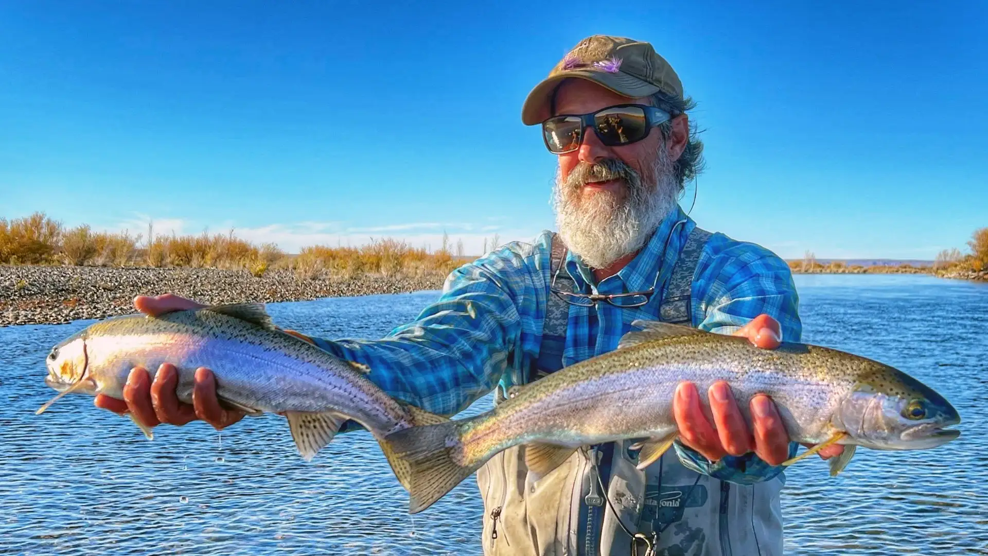 Chocolate Lab Limay River rainbow trout in Argentina.