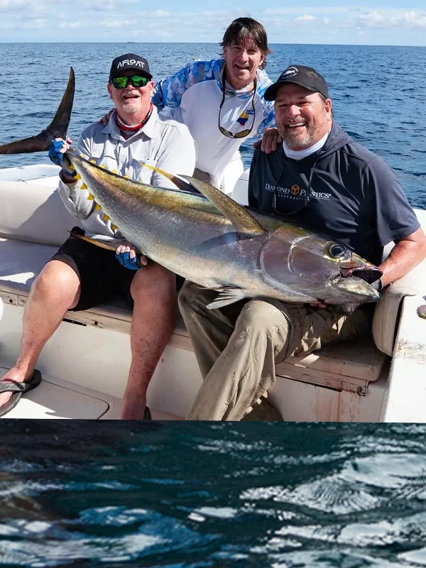 Read Brad's 2026 trip report for sailfish and yellowfin tuna at Bahia Solano in Colombia.