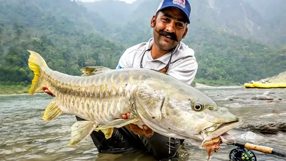 Golden Mahseer fishing in Bhutan, India.