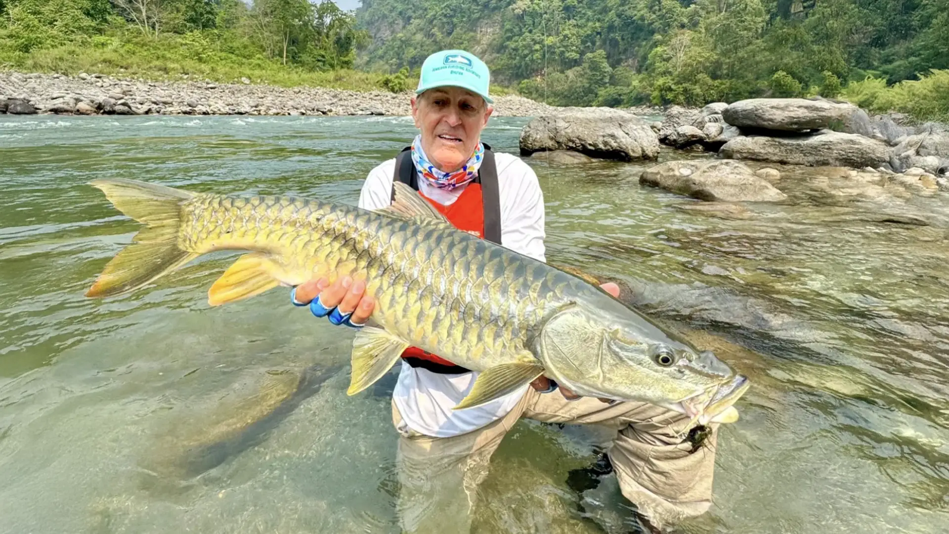 Golden Mahseer are native to the Himalayan region and one of the most coveted species in the fly-fishing world.