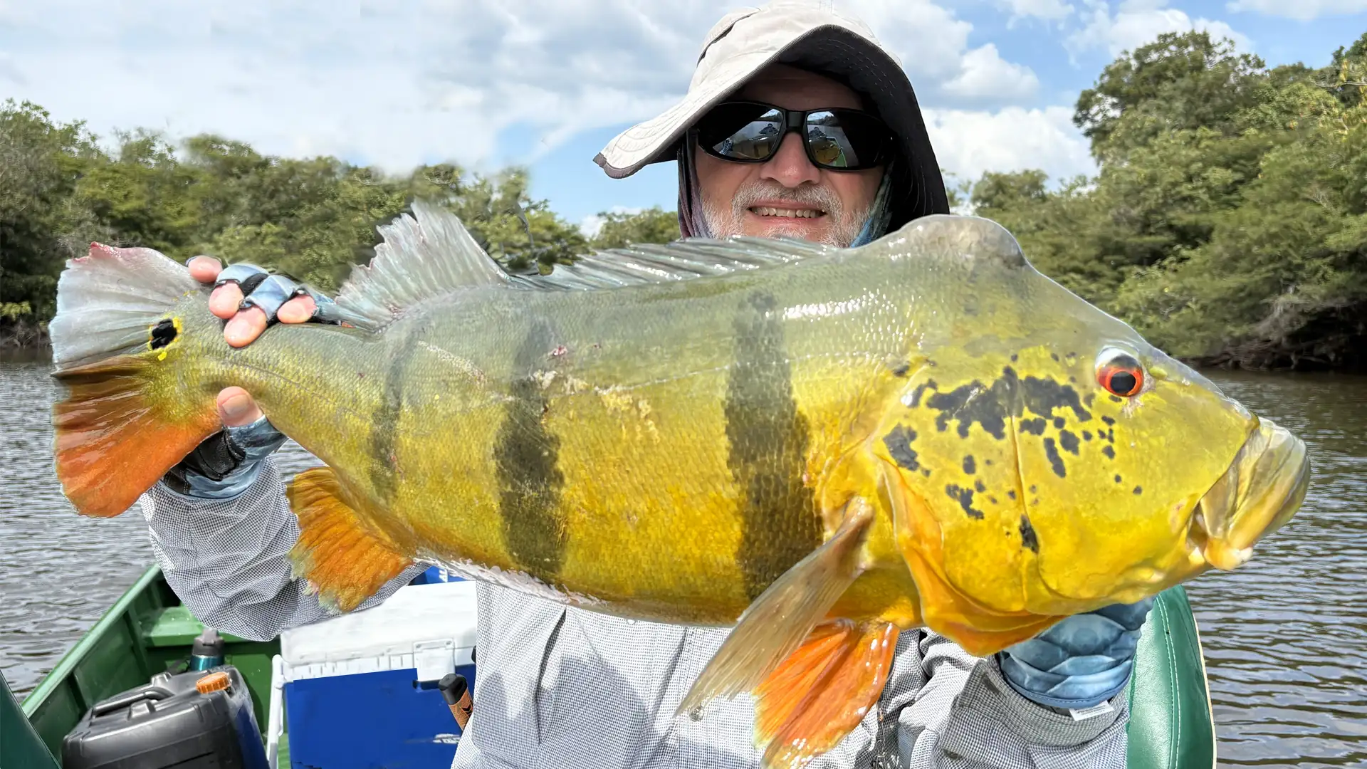 Agent and Host Guy Schoenborn with a Peacock Bass during a Fishing with Larry 2025 Hosted Week.