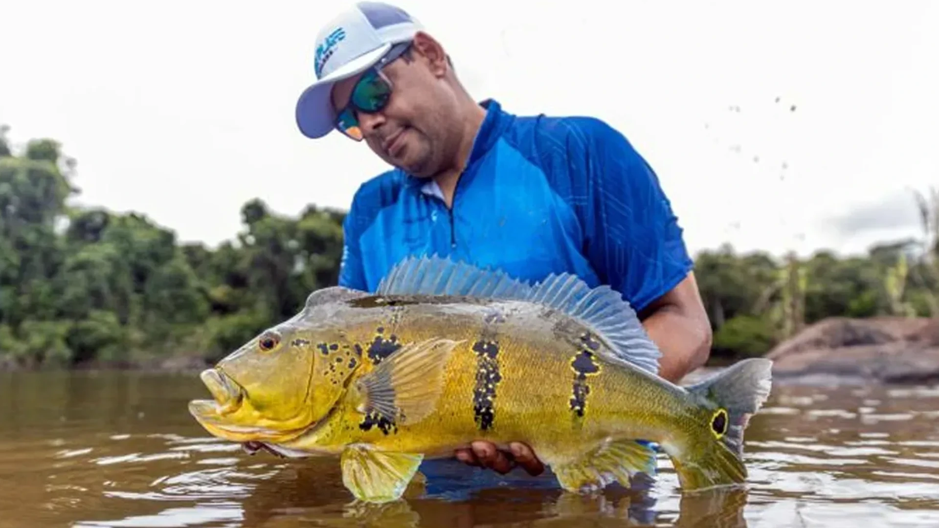 Bucket List's Jatapu River Lodge features guided peacock bass fishing.