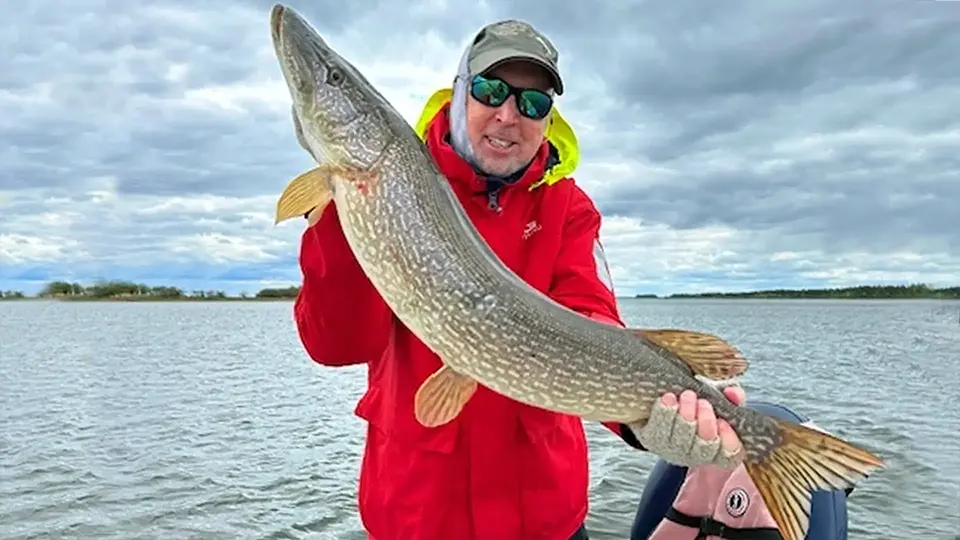 Elk Island Northern Pike