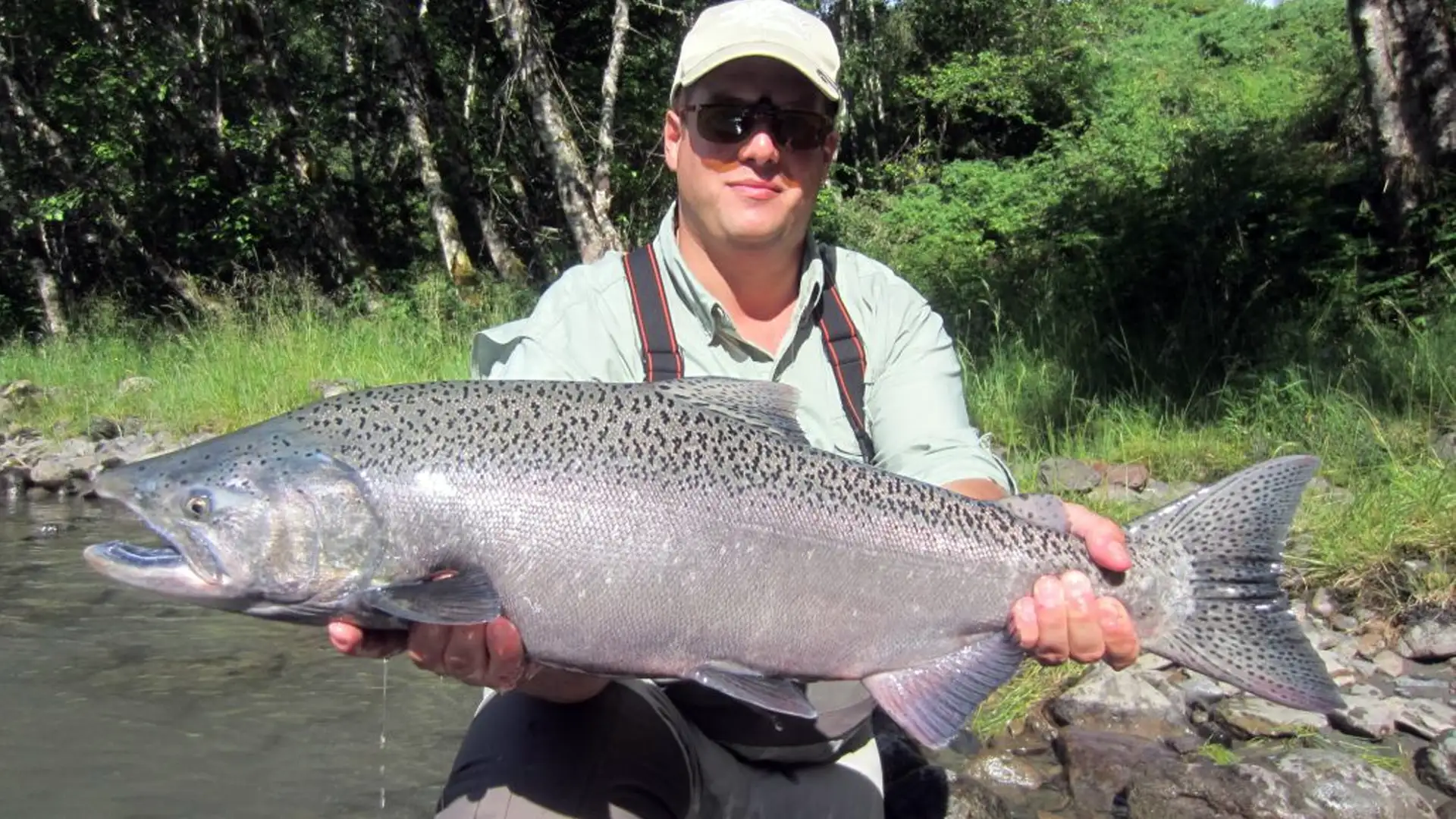 Wild Rivers Lodge in the heart of British Columbia is hailed as a world-class salmon fishing destination. Species such as Chinook (King), Coho (Silver), and Pink salmon offer a thrilling challenge for both novice and experienced anglers.