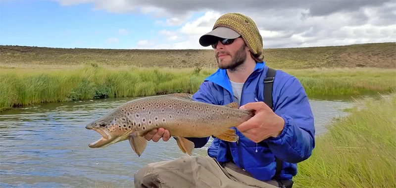 Cinco Rios Lodge, Chile