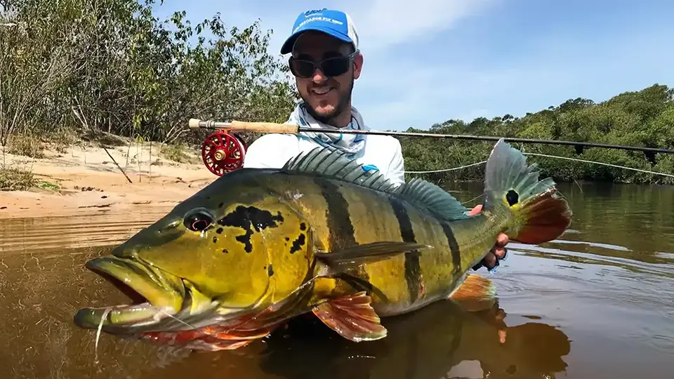Peacock bass fishing with Afloat Adventures in Colombia