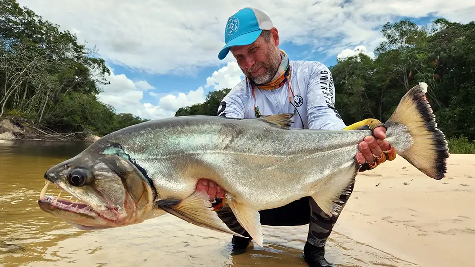 Peacock bass fishing with Afloat Adventures in Colombia