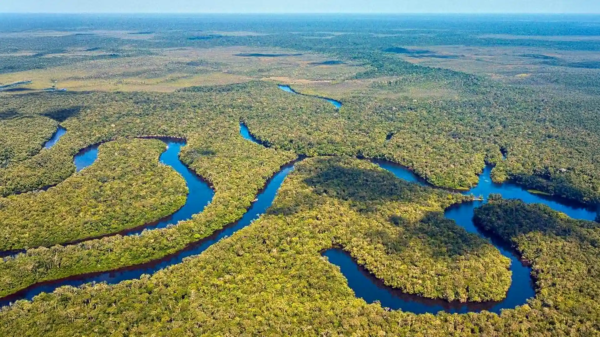 The Mataven River flows for approximately 390 miles through the Mataven Forest in eastern Colomiba.