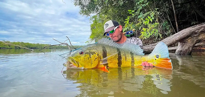 Agua Boa Amazon Lodge, Brazil