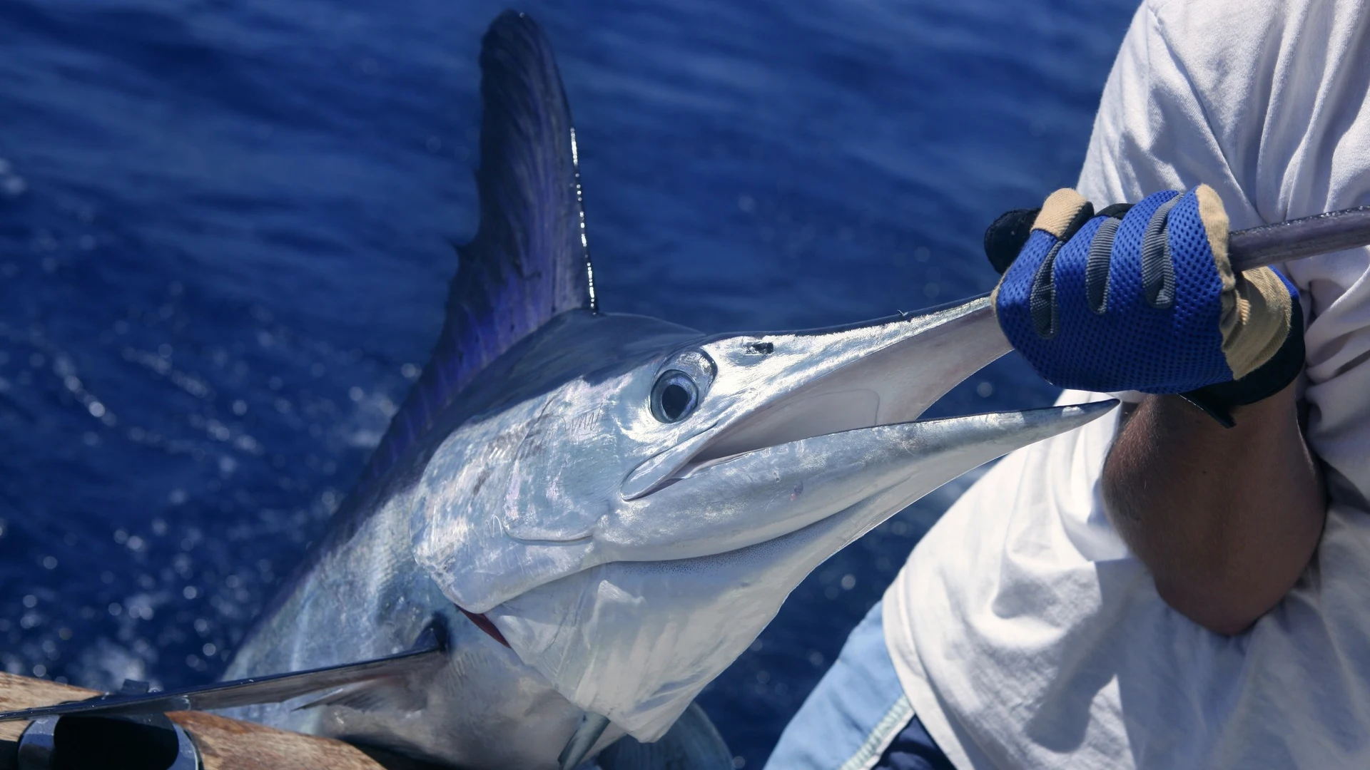Offshore fishing from Golfito, Costa Rica targeting blue marlin, black marlin, sailfish, yellowfin tuna, and dorado.