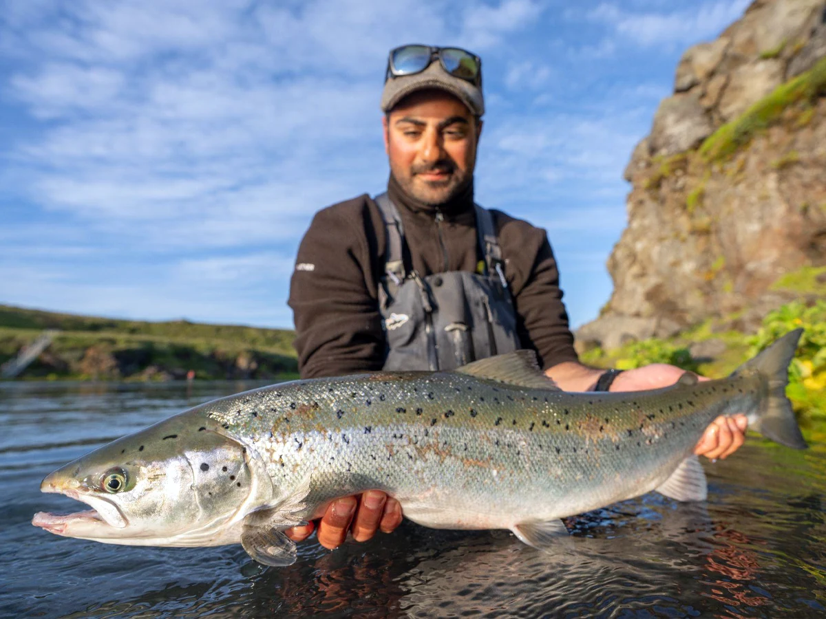 Fly Fishing Blanda River Iceland