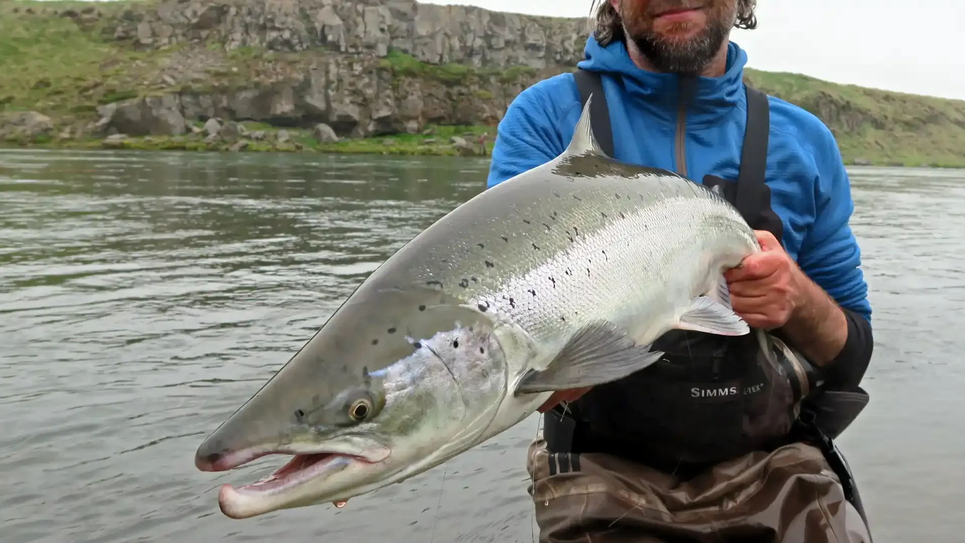 Flyfish for Atlantic Salmon in Iceland on the Blanda River with Fish Partner.