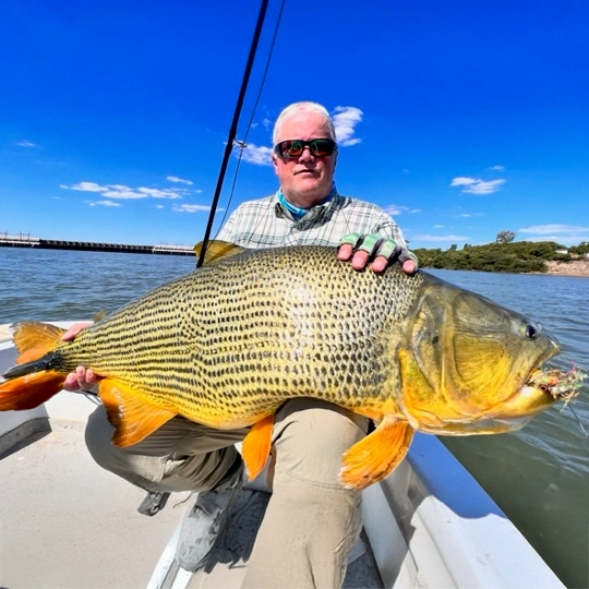 Kurt Pettipiece with a 53 pound Golden Dorado landed on a fly at La Zona Lodge in Argentina.