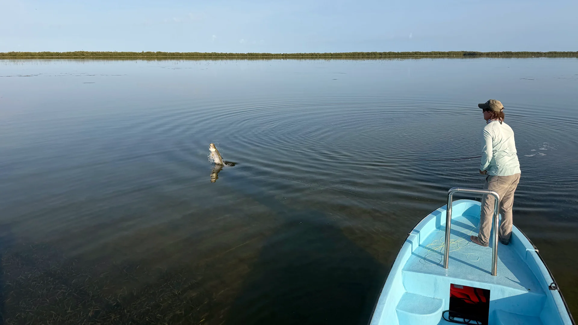 Great tarpon fishing action at Holbox Island in Mexico.
