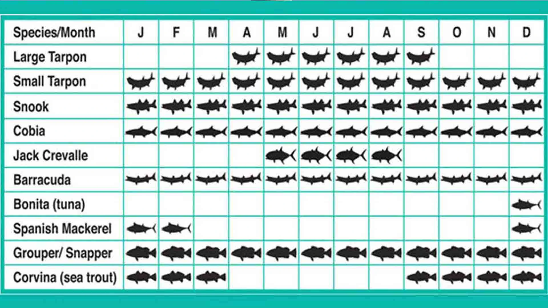 Fishing chart and species for Tarpon Club Isla Holbox
