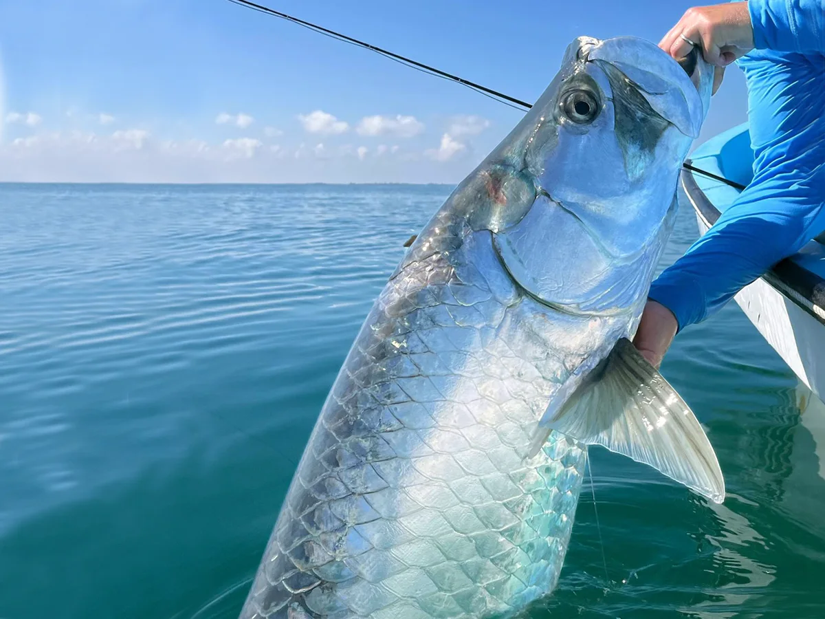 Tarpon Club Isla Holbox