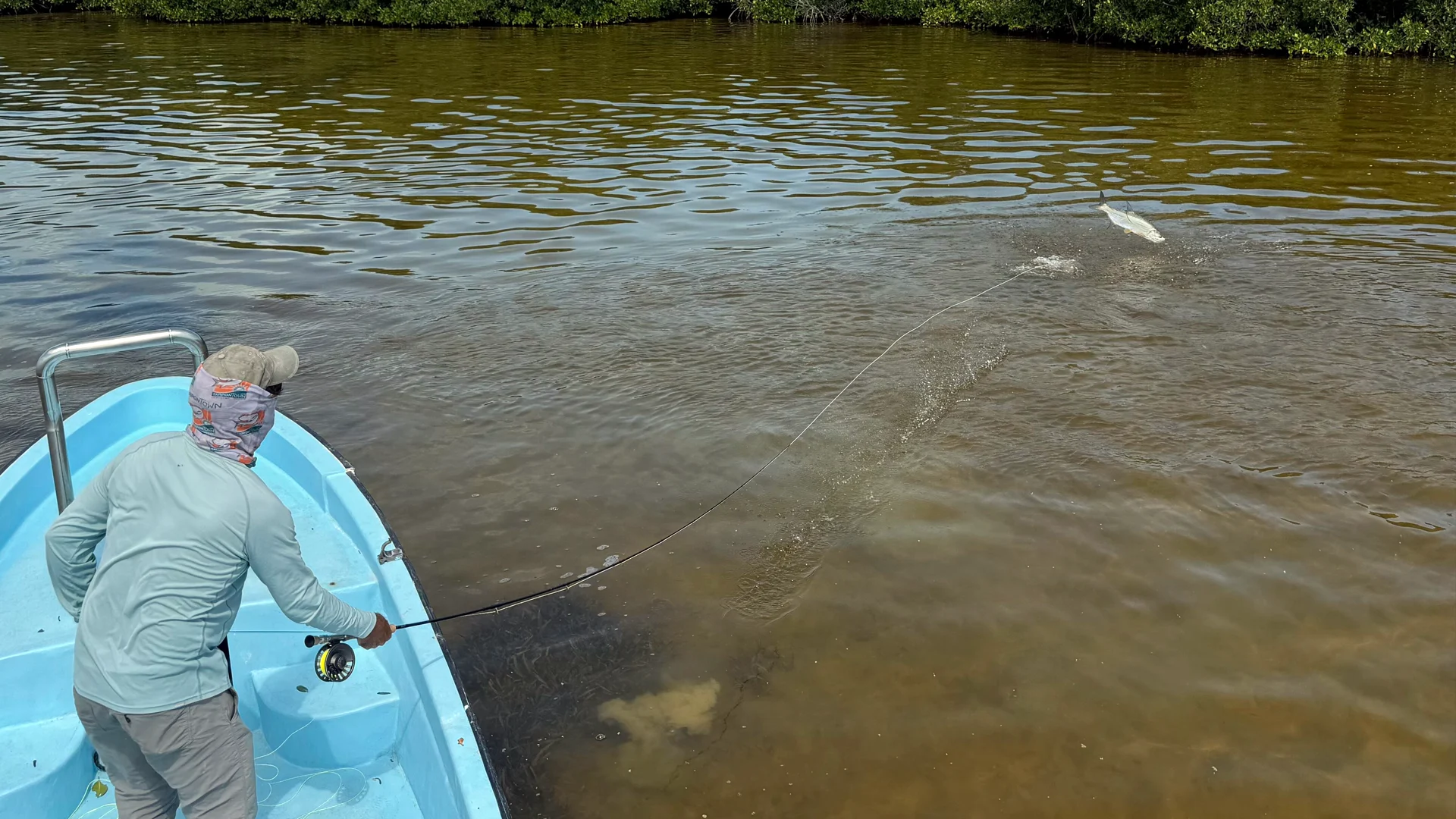 Tarpon fishing acrobatics during Brad Staples three-day trip at Holbox Island.