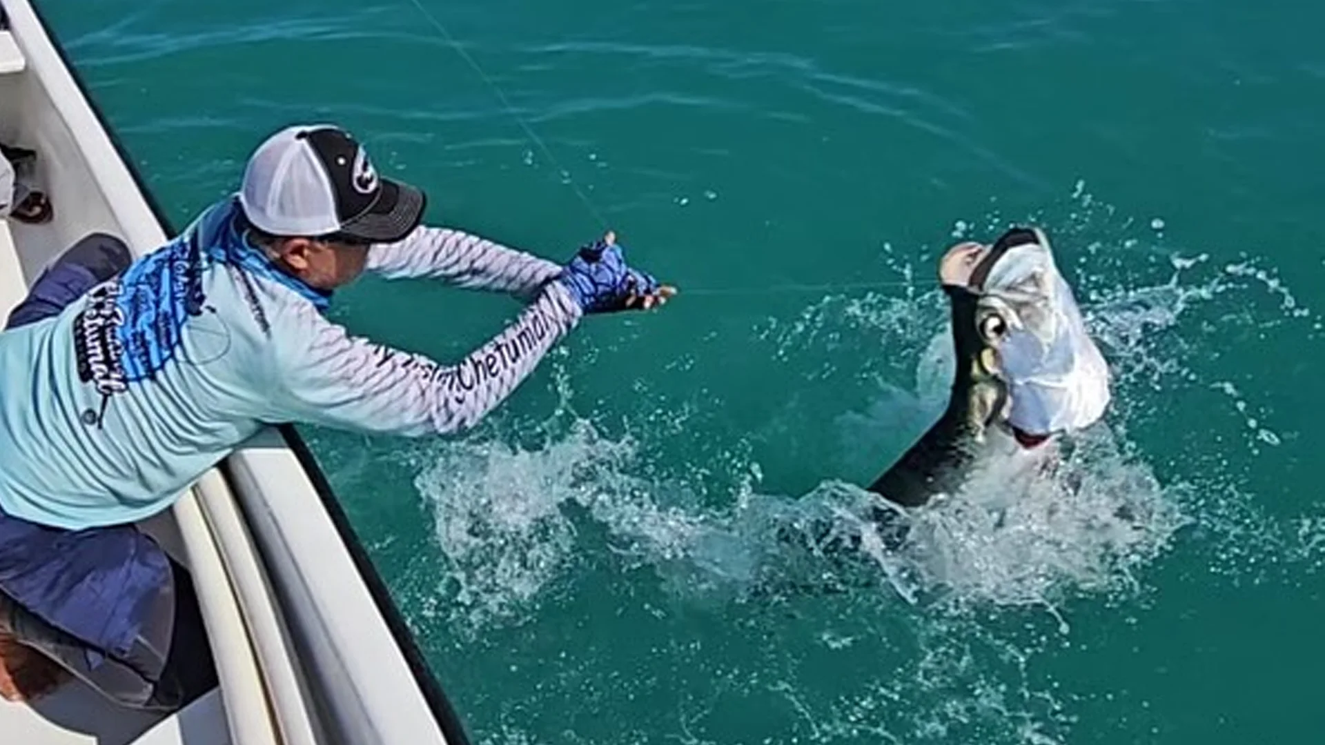 Two Guides Holding Tarpon Over the Side of the Boat