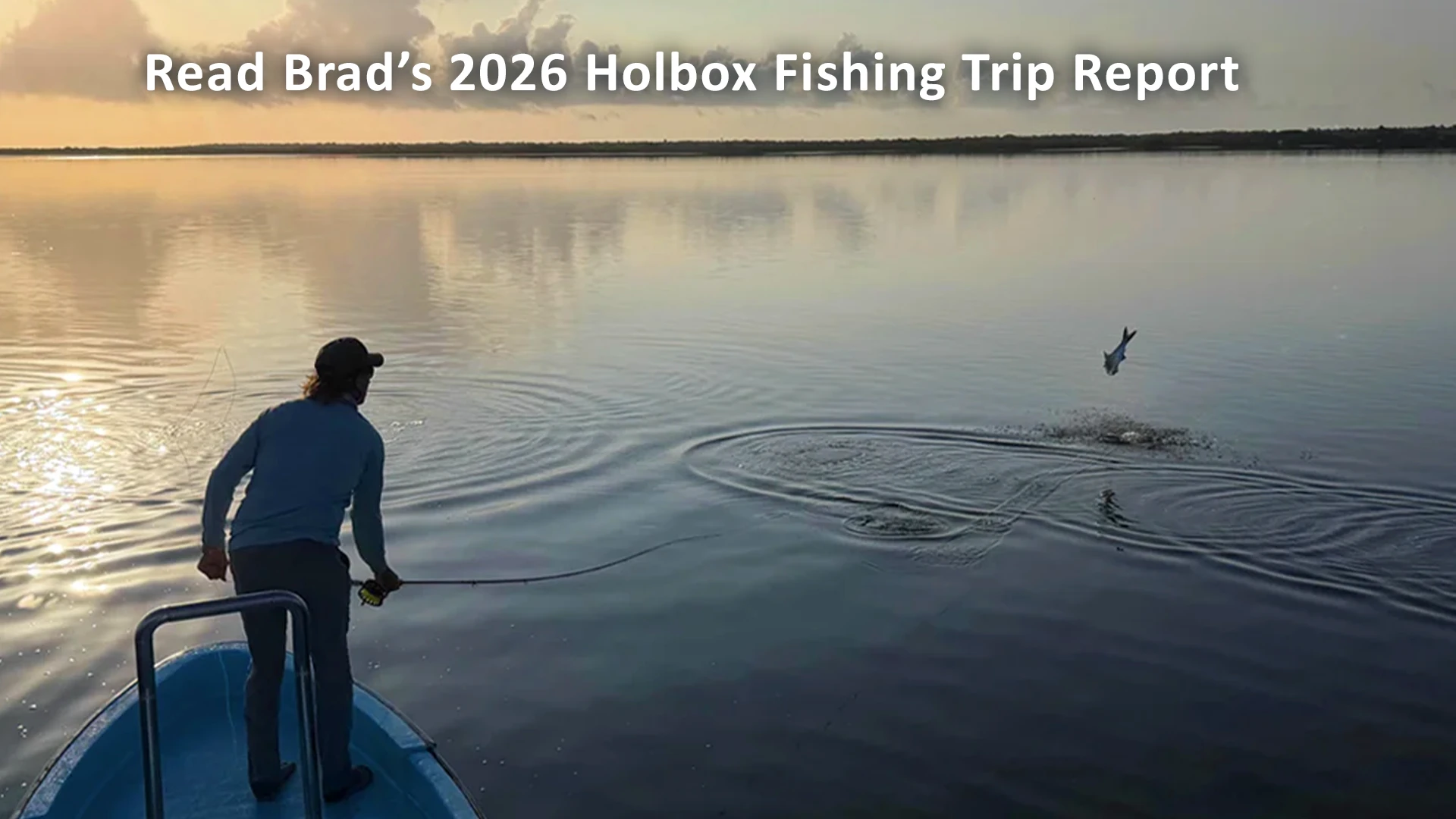 Read Brad Staples's 2026 Holbox Fishing Trip Report with Tarpon Club Isla Holbox.