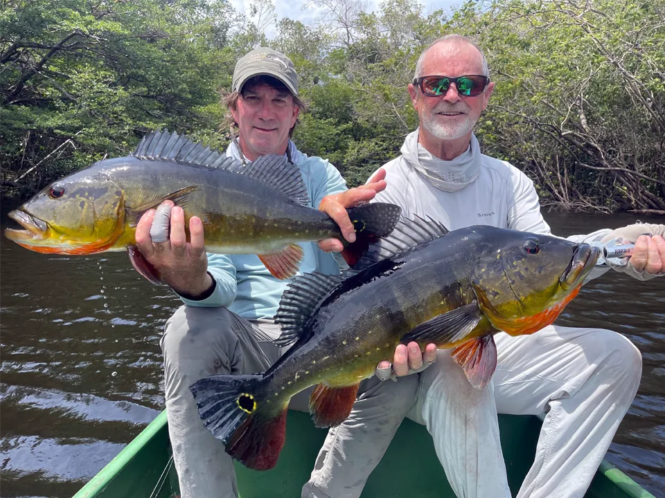 Fly fish the Agua Boa River for Amazon peacock bass and stay at one of the top ten fly fishing lodges in the world, Agua Boa Amazon Lodge.