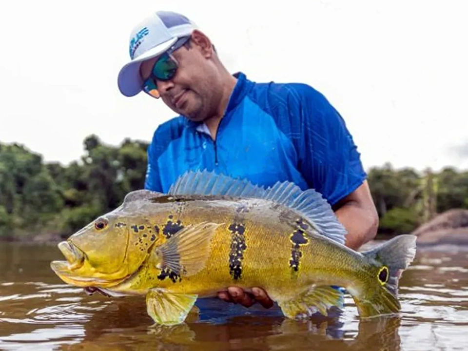 Fly or lure fish the Jatapu River for Peacock Bass in Brazil and stay in air-conditioned cabins.