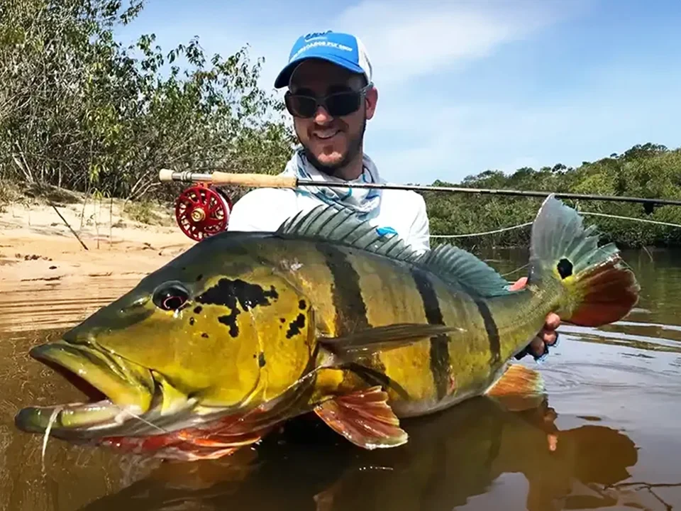 Fly or lure fish for Colombian peacock bass and payara fishing adventure with Afloat Adventures.