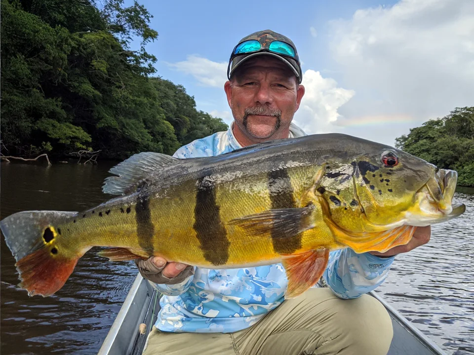Fly or lure fish the Rio Novo for Amazon peacock bass and stay on a floating cabin.