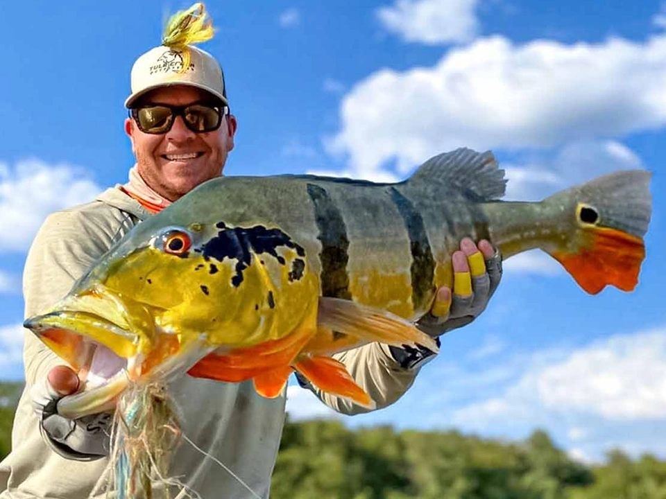 Fly or lure fish for peacock Bass Fishing in Colombia with Afloat Adventures, and stay in floating cabins.