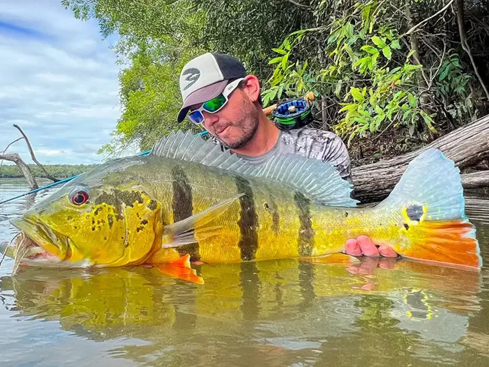Fly or lure fish the Vichada River for Peacock Bass in Colombia and stay in floating cabins.