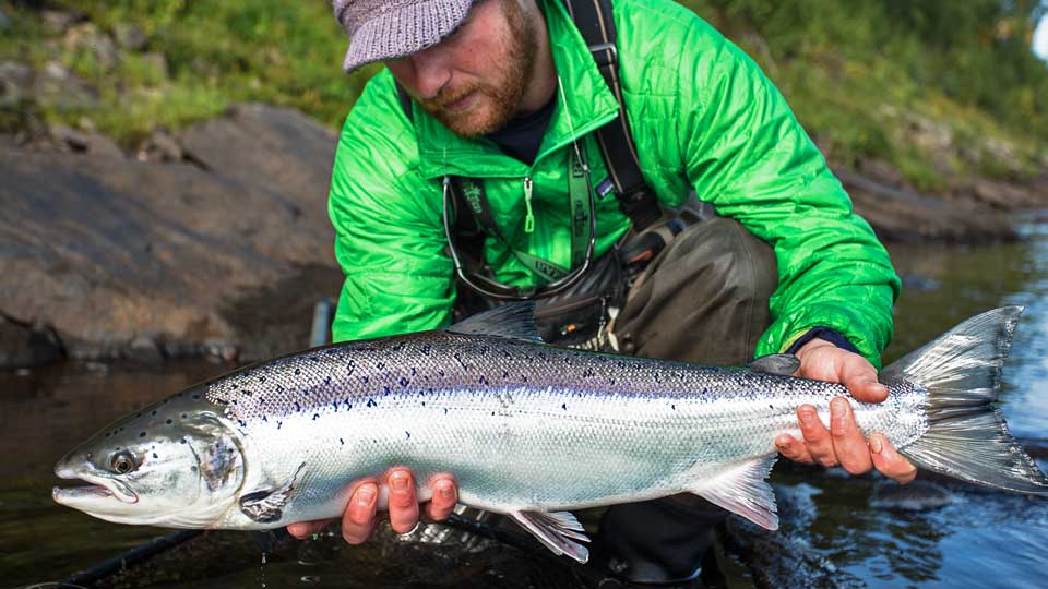 Ponoi Fly Fishing Ponoi Salmon Fishing