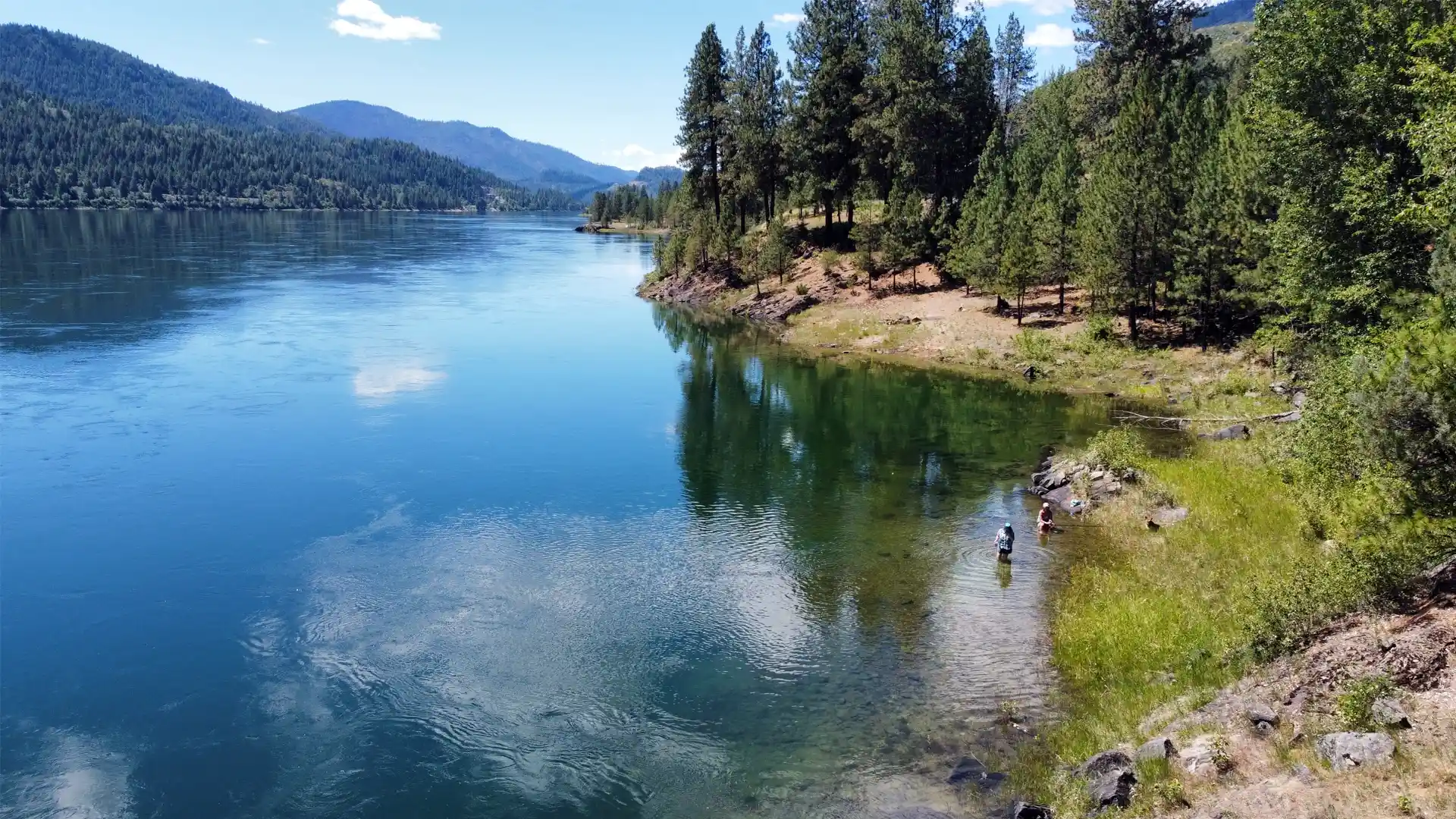 Columbia River Flyfish for Washington Redband Rainbow Trout and stay at Black Bear Lodge on the Upper Columbia River.